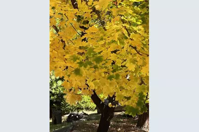 29729 Katharine Way, Cedar Glen, CA 92321 - Photo 42