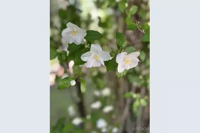 29729 Katharine Way, Cedar Glen, CA 92321 - Photo 44