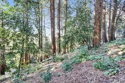 0-2661 Scenic Drive, Crestline, CA 92325 - Photo 2