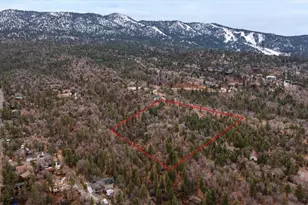751 Needle Ln, Big Bear City, CA 92314 - Photo 1