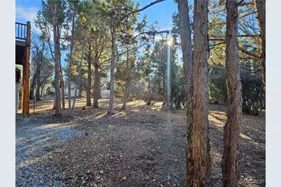 356 Santa Barbara Avenue, Sugarloaf, CA 92386 - Photo 4