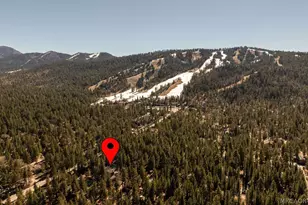 41664 Mcwhinney Ln, Big Bear Lake, CA 92315 - Photo 6