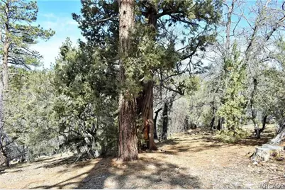 468 Inyo, Big Bear City, CA 92386 - Photo 18