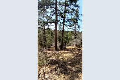 468 Inyo, Big Bear City, CA 92386 - Photo 6