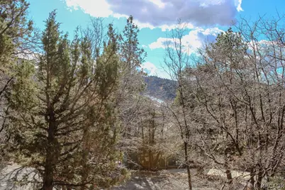1500 Wolf Road, Big Bear Lake, CA 92315 - Photo 36