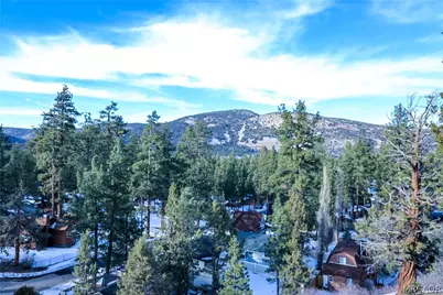 509 Wallace Lane, Big Bear City, CA 92314 - Photo 46