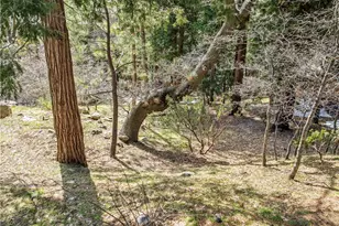 27391 Alpen Dr, Lake Arrowhead, CA 92352 - Photo 48