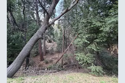 0 Hook Creek Rd Road, Cedar Glen, CA 92321 - Photo 4