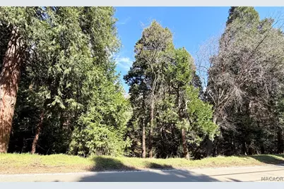 0 Hook Creek Rd Road, Cedar Glen, CA 92321 - Photo 1