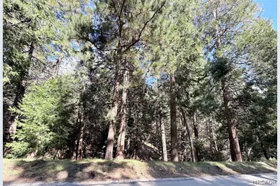 0 Hook Creek Rd Road, Cedar Glen, CA 92321 - Photo 10