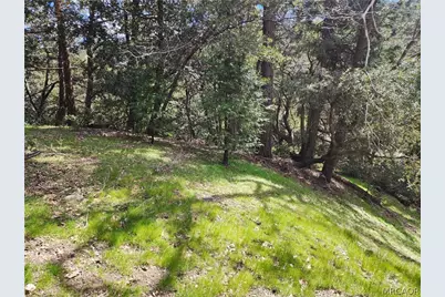 0 Running Springs Lane, Cedarpines Park, CA 92322 - Photo 6