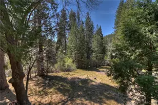 32868 Conifer Camp Rd, Arrowbear, CA 92382 - Photo 46