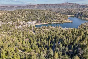 24166 Cresta Dr, Crestline, CA 92325 - Photo 46