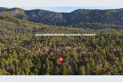 875 Santa Barbara Avenue, Sugarloaf, CA 92386 - Photo 14