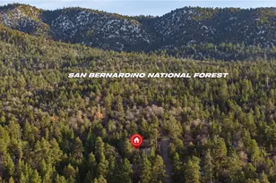 875 Santa Barbara Ave, Sugarloaf, CA 92386 - Photo 14