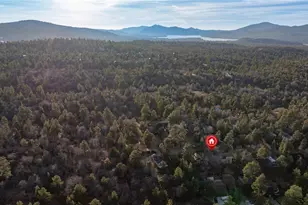 875 Santa Barbara Ave, Sugarloaf, CA 92386 - Photo 16