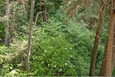 576 Kuffel Canyon Road, Lake Arrowhead, CA 92352 - Photo 34