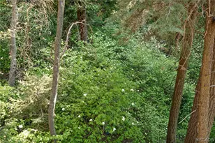576 Kuffel Canyon Rd, Lake Arrowhead, CA 92352 - Photo 32