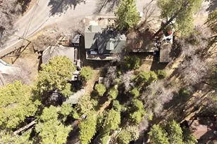 43113 Sheephorn Rd, Big Bear Lake, CA 92315 - Photo 4