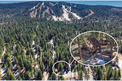 41959 Brownie Lane, Big Bear Lake, CA 92315 - Photo 4