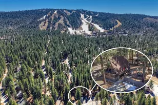 41959 Brownie Ln, Big Bear Lake, CA 92315 - Photo 4