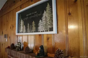 545 Highland Rd, Big Bear Lake, CA 92315 - Photo 12