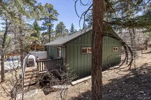 1639 Columbine Dr, Big Bear City, CA 92314 - Photo 44