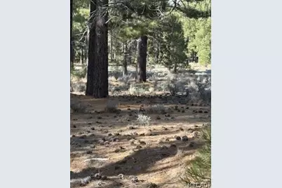 34557 Polique Canyon Trail, Fawnskin, CA 92333 - Photo 6