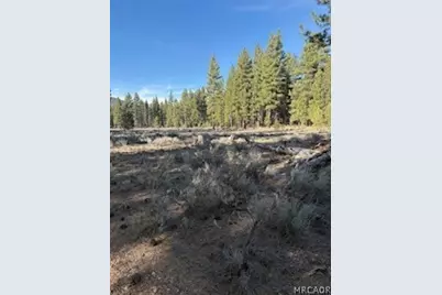 34557 Polique Canyon Trail, Fawnskin, CA 92333 - Photo 8