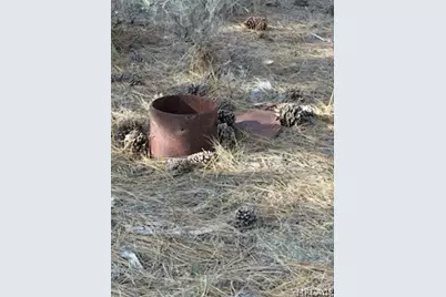 34557 Polique Canyon Trail, Fawnskin, CA 92333 - Photo 12