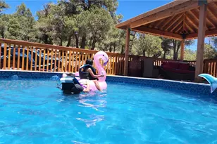 1925 Baldwin Lake Rd, Big Bear City, CA 92314 - Photo 38