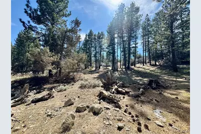 209 Dawn Drive, Big Bear City, CA 92314 - Photo 28