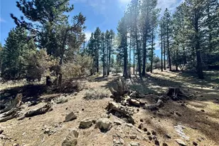 209 Dawn Dr, Big Bear City, CA 92314 - Photo 28