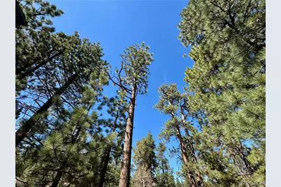 209 Dawn Drive, Big Bear City, CA 92314 - Photo 30