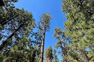 209 Dawn Dr, Big Bear City, CA 92314 - Photo 30