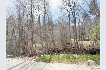 29949 Hook Creek Road, Cedar Glen, CA 92321 - Photo 6