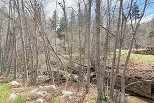 29949 Hook Creek Rd, Cedar Glen, CA 92321 - Photo 1