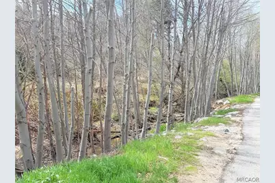 29949 Hook Creek Road, Cedar Glen, CA 92321 - Photo 2