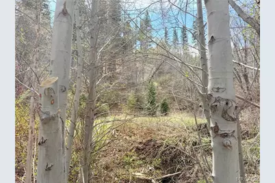 29949 Hook Creek Road, Cedar Glen, CA 92321 - Photo 4