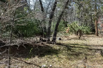 1530 Tuolumne Road, Big Bear City, CA 92314 - Photo 24