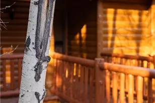 43300 Deer Canyon Rd, Big Bear Lake, CA 92315 - Photo 12