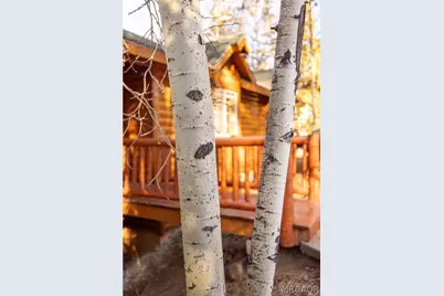 43300 Deer Canyon Road, Big Bear Lake, CA 92315 - Photo 16