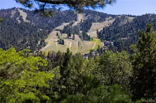 845 Menlo Dr, Big Bear Lake, CA 92315 - Photo 8