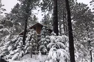 845 Menlo Dr, Big Bear Lake, CA 92315 - Photo 26