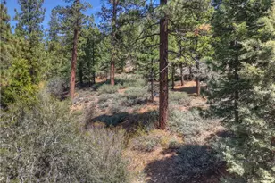 1099 Canyon Rd, Fawnskin, CA 92333 - Photo 26