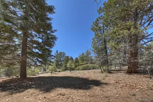 22 Polique Canyon Trail, Fawnskin, CA 92333 - Photo 36