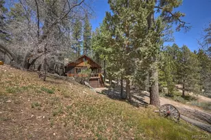 22 Polique Canyon Trail, Fawnskin, CA 92333 - Photo 30