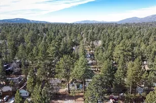 298 Maple Ln, Sugarloaf, CA 92386 - Photo 30