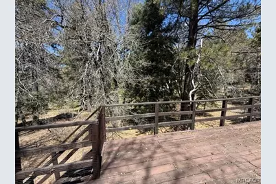 33036 Maple Lane, Green Valley Lake, CA 92341 - Photo 44