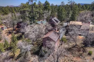 796 Orange Ave, Sugarloaf, CA 92386 - Photo 48